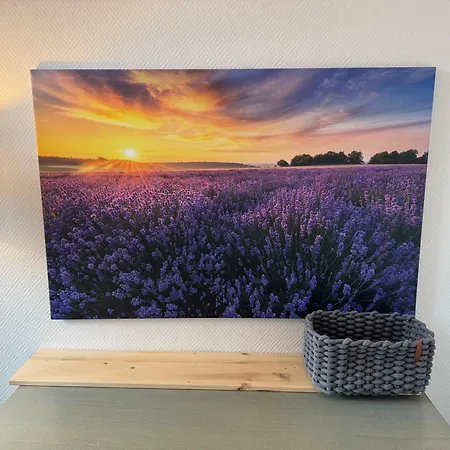 Couette-café Zur Altstadt 3*